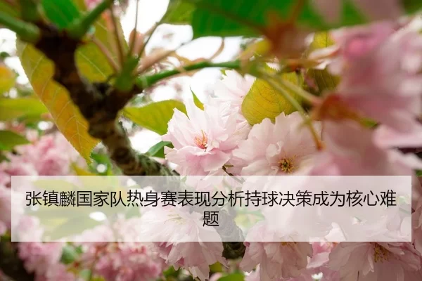 张镇麟国家队热身赛表现分析持球决策成为核心难题