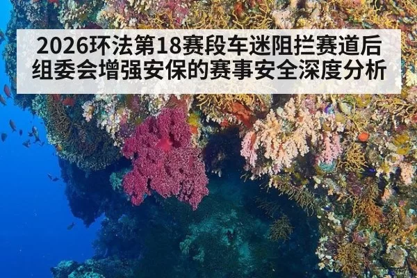 2026环法第18赛段车迷阻拦赛道后组委会增强安保的赛事安全深度分析（pgdianzi）