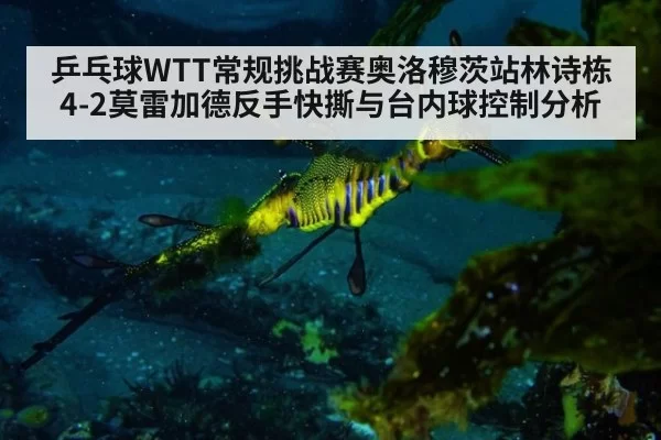 乒乓球WTT常规挑战赛奥洛穆茨站林诗栋4-2莫雷加德反手快撕与台内球控制分析（pgdianzi）