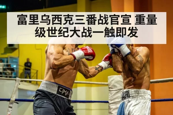 heavyweight boxing match