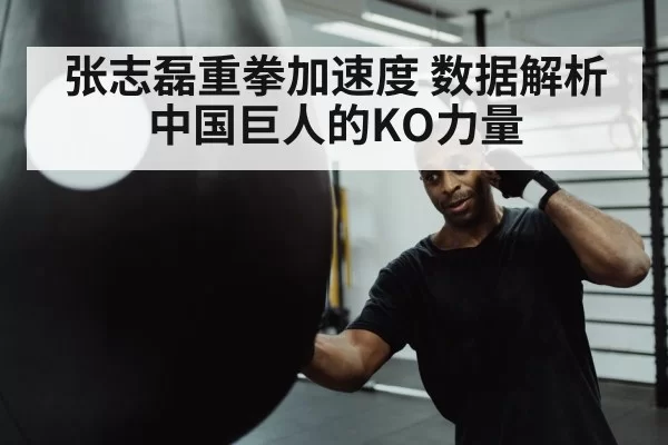 张志磊重拳加速度 数据解析中国巨人的KO力量